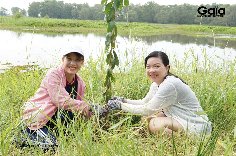 Hào hứng trồng rừng khôi phục hệ sinh thái đất ngập nước Tràm Chim.