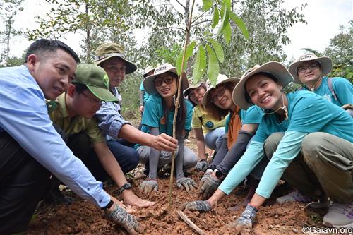 Cùng trồng cây làm giàu rừng nghèo kiệt tại Khu Bảo tồn Thiên nhiên Văn hóa Đồng Nai. 