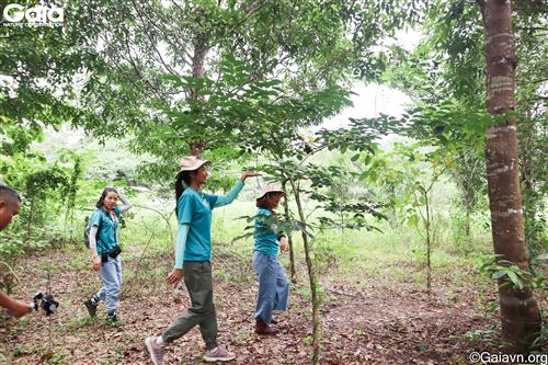 Hoa hậu H’Hen Niê đi thăm rừng Đồng Nai đã được Gaia trồng 4 năm trước. 