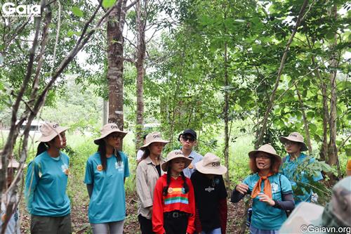 Bà Huyền Đỗ giới thiệu về chương trình trồng rừng Đồng Nai