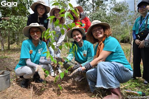 Chung tay trồng rừng Đồng Nai.