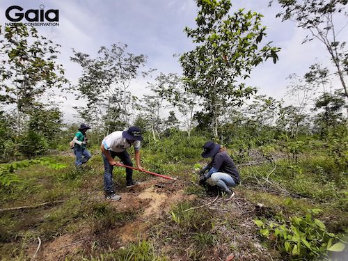 Không chỉ góp cây cho rừng Đồng Nai, BAT còn cam kết sẽ tiếp tục đồng hành cùng Gaia thêm xanh cho Việt Nam.