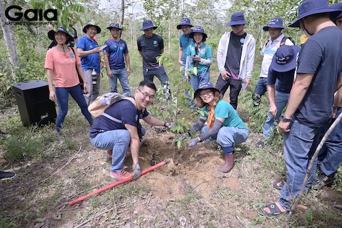 Nhân sự BAT & chị Huyền Đỗ cùng đồng hành trồng cây tại rừng Đồng Nai. 
