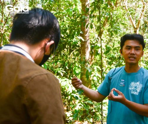 Titan Thái Tiến chia sẻ về đặc điểm một số loài cây Gaia đã, đang trồng tại Rừng Đồng Nai