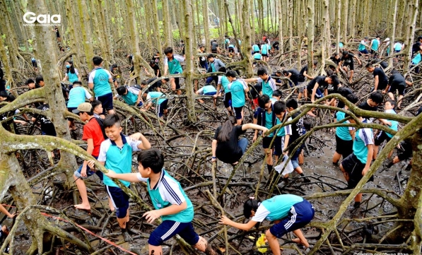 350 HỌC SINH TRẢI NGHIỆM THIÊN NHIÊN CẦN GIỜ TÌM HIỂU ĐỘNG VẬT HOANG DÃ 