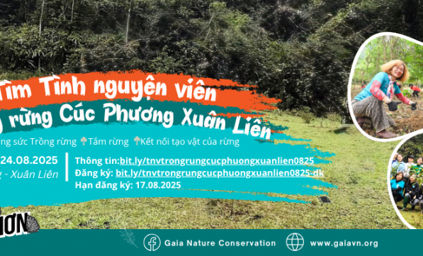 TÌNH NGUYỆN VIÊN TRỒNG RỪNG CÚC PHƯƠNG - XUÂN LIÊN 08.2025