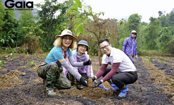 TẬP ĐOÀN PHENIKAA GÓP 3000 CÂY RỪNG VÌ TƯƠNG LAI XANH
