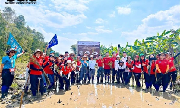 TRỒNG RỪNG U MINH HẠ