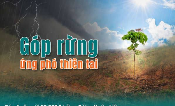 TRỒNG RỪNG XUÂN LIÊN - ĐỢT 12